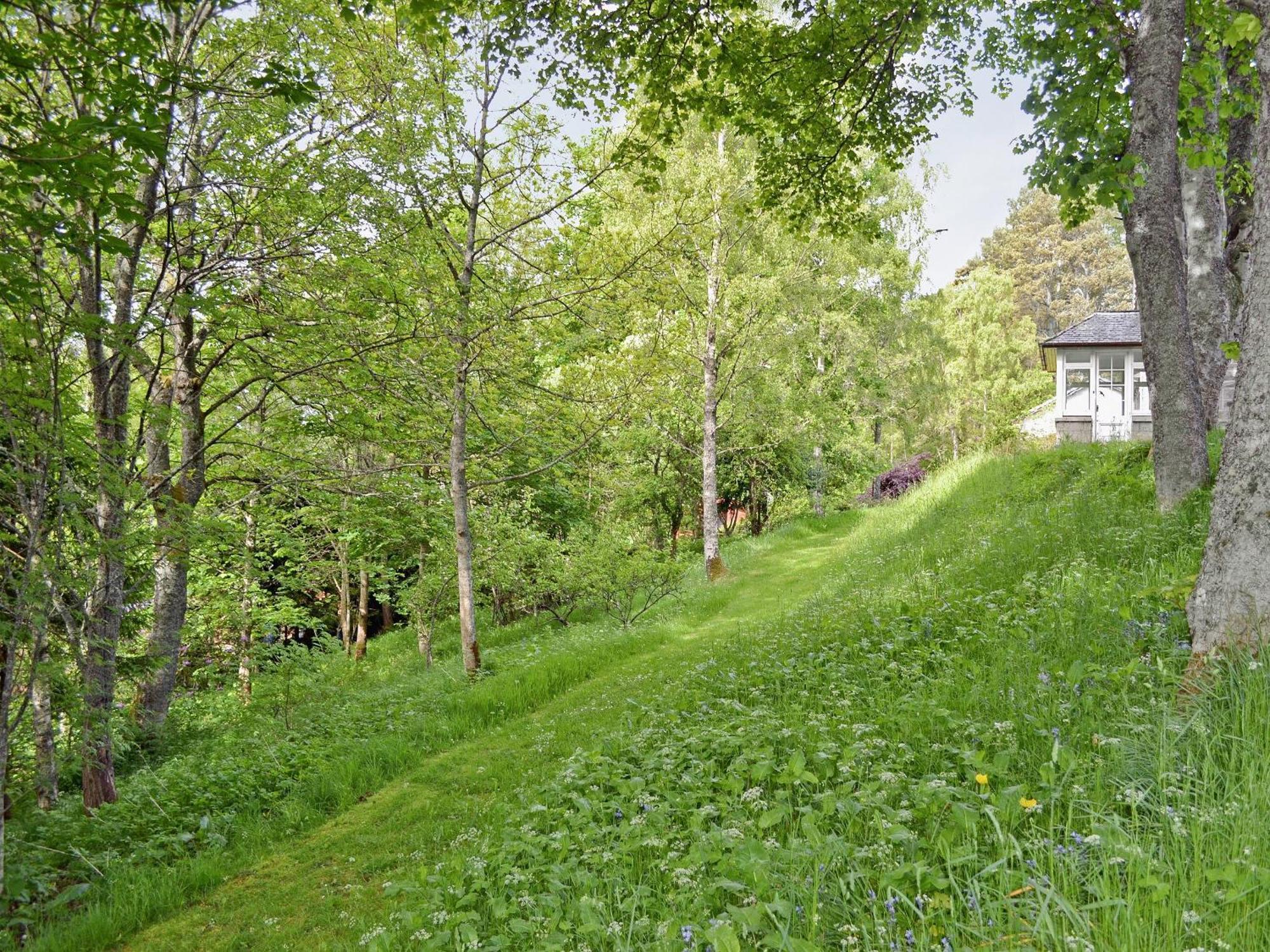 Treetops Newtonmore Luaran gambar